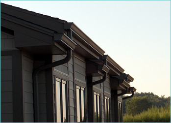 Land o' Lakes Gutter Services near me
